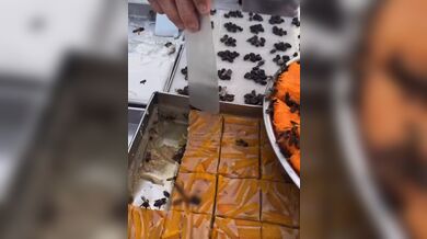 KR TWITTER PORN VIDEOS 00002029