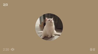 KR TWITTER PORN VIDEOS 00012174