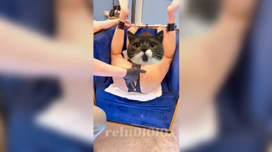 KR TWITTER PORN VIDEOS 00012567