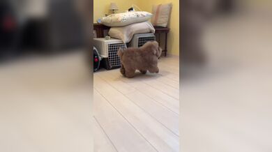 KR TWITTER PORN VIDEOS 00118880
