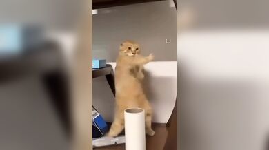 KR TWITTER PORN VIDEOS 00067373