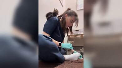 JP TWITTER PORN VIDEOS 00217515