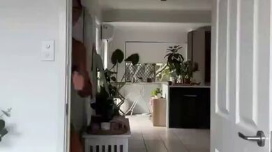 JP TWITTER PORN VIDEOS 00156580