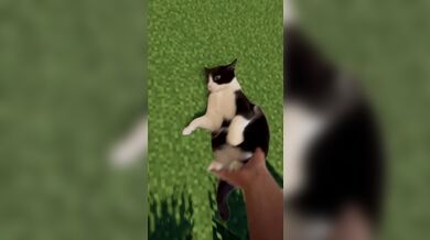 KR TWITTER PORN VIDEOS 00080531