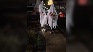 KR TWITTER PORN VIDEOS 00054823