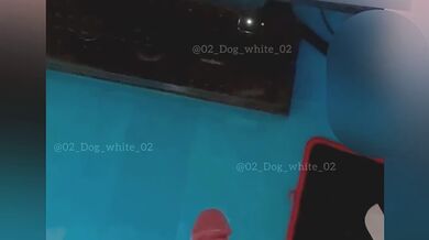KR TWITTER PORN VIDEOS 00119332