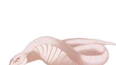 KR TWITTER PORN VIDEOS 00042086