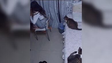 KR TWITTER PORN VIDEOS 00042151
