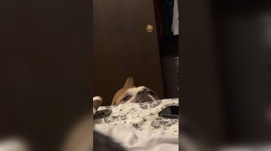 KR TWITTER PORN VIDEOS 00055179