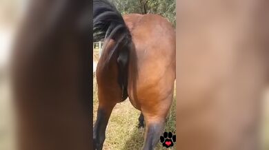 KR TWITTER PORN VIDEOS 00055188