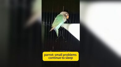 KR TWITTER PORN VIDEOS 00140693