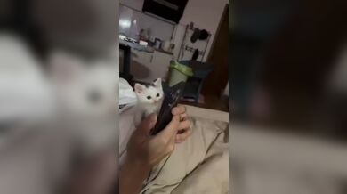 JP TWITTER PORN VIDEOS 00140876