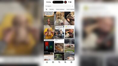 KR TWITTER PORN VIDEOS 00039332