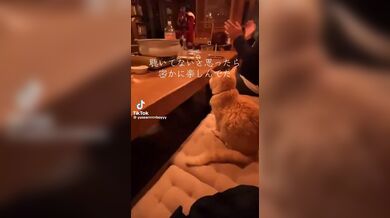 JP TWITTER PORN VIDEOS 00180758