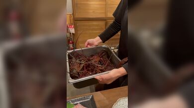 JP TWITTER PORN VIDEOS 00191381