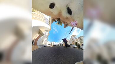 JP TWITTER PORN VIDEOS 00215219