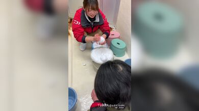 JP TWITTER PORN VIDEOS 00215638