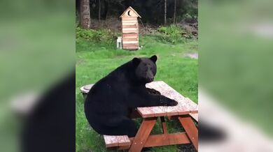 KR TWITTER PORN VIDEOS 00091483