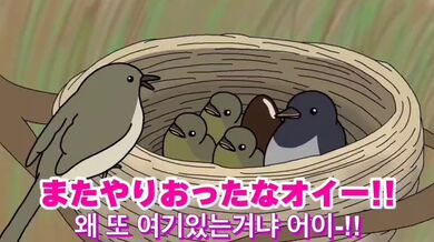 KR TWITTER PORN VIDEOS 00091606