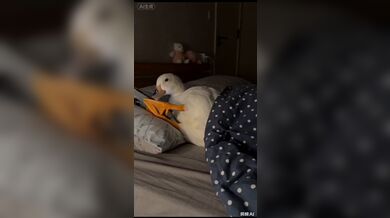 JP TWITTER PORN VIDEOS 00128827