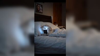 JP TWITTER PORN VIDEOS 00128885