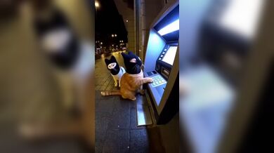 KR TWITTER PORN VIDEOS 00014662