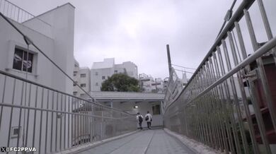 JP TWITTER PORN VIDEOS 00165384