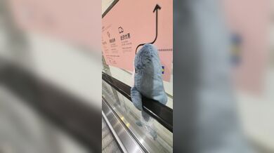 KR TWITTER PORN VIDEOS 00178582