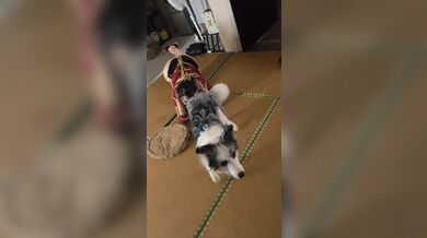KR TWITTER PORN VIDEOS 00079106