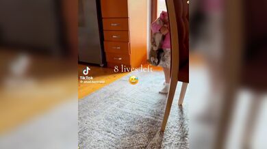 JP TWITTER PORN VIDEOS 00178800