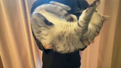 KR TWITTER PORN VIDEOS 00037648