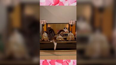 JP TWITTER PORN VIDEOS 00166104