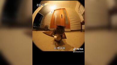 KR TWITTER PORN VIDEOS 00050719