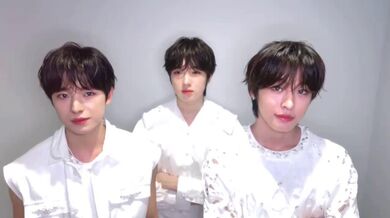 KR TWITTER PORN VIDEOS 00016288