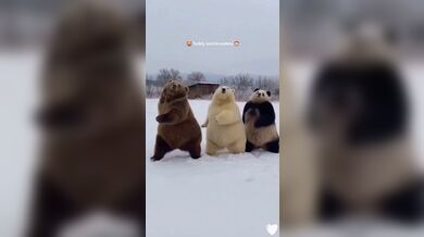 KR TWITTER PORN VIDEOS 00016329