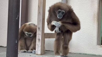 KR TWITTER PORN VIDEOS 00016362