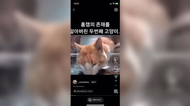 JP TWITTER PORN VIDEOS 00163023
