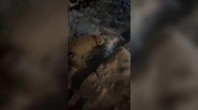 JP TWITTER PORN VIDEOS 00162992