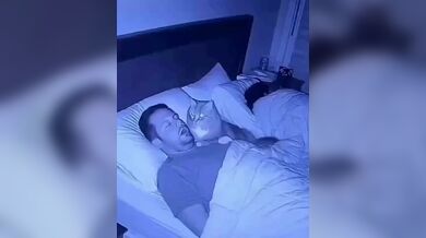 JP TWITTER PORN VIDEOS 00213988