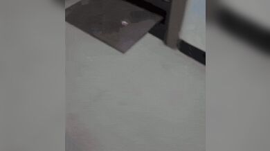 KR TWITTER PORN VIDEOS 00051181