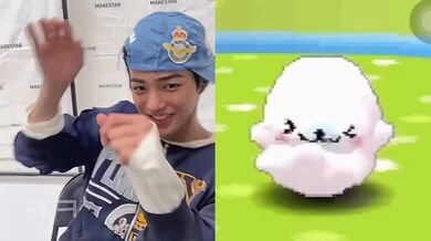 KR TWITTER PORN VIDEOS 00063988
