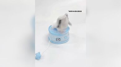 KR TWITTER PORN VIDEOS 00144716