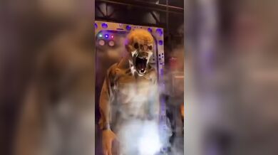 KR TWITTER PORN VIDEOS 00139984