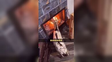 KR TWITTER PORN VIDEOS 00089991