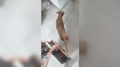 JP TWITTER PORN VIDEOS 00153401