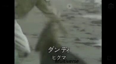 JP TWITTER PORN VIDEOS 00144956