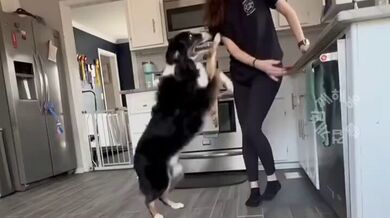 KR TWITTER PORN VIDEOS 00077367