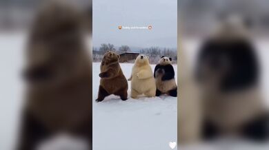 KR TWITTER PORN VIDEOS 00016870