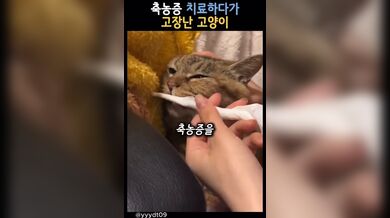 KR TWITTER PORN VIDEOS 00051852