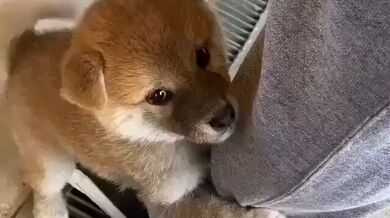 KR TWITTER PORN VIDEOS 00116270
